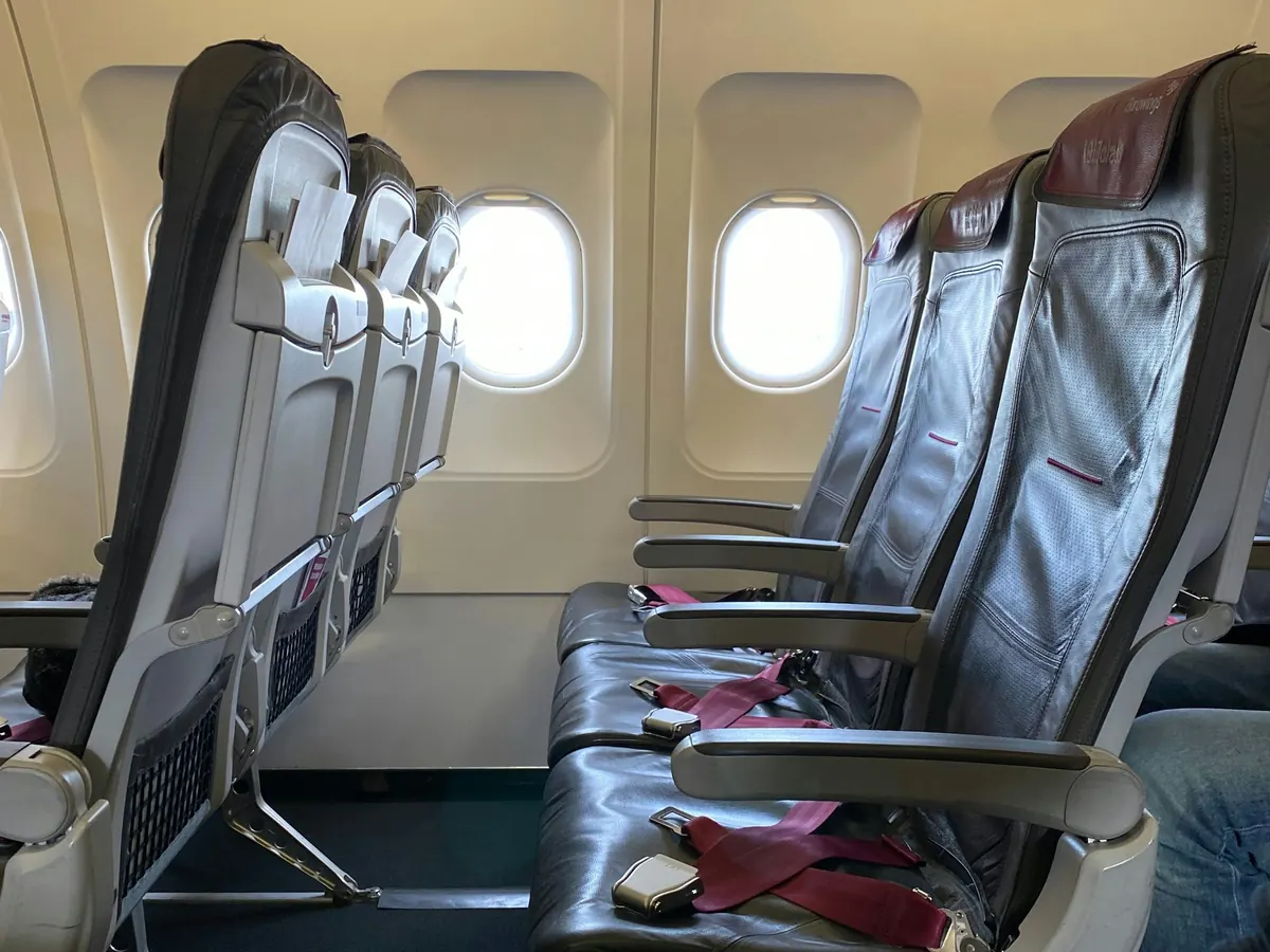 Rows of airline seats beside the cabin windows